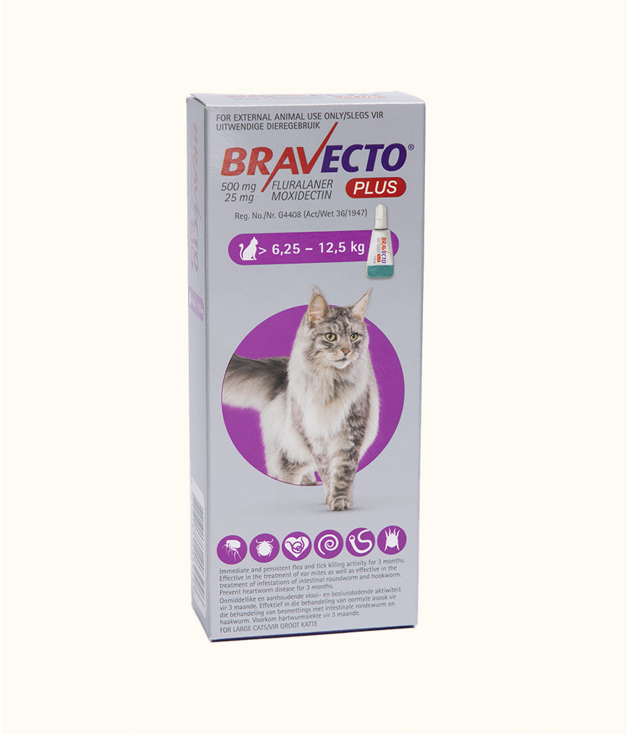 Bravecto® Plus for Large Cats (>6.25kg-12.5kg) | Dashing Pets