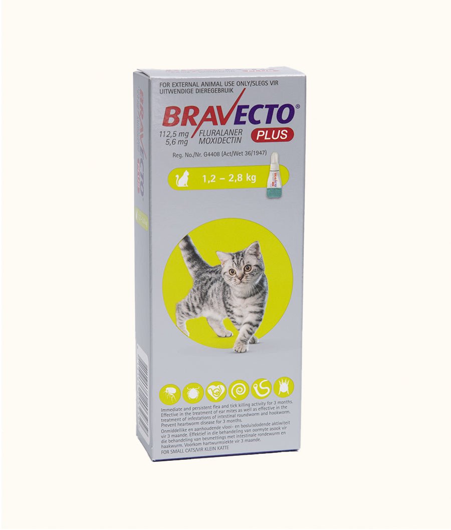 Bravecto® Plus for Small Cats (>1.2kg - 2.8kg) | Dashing Pets