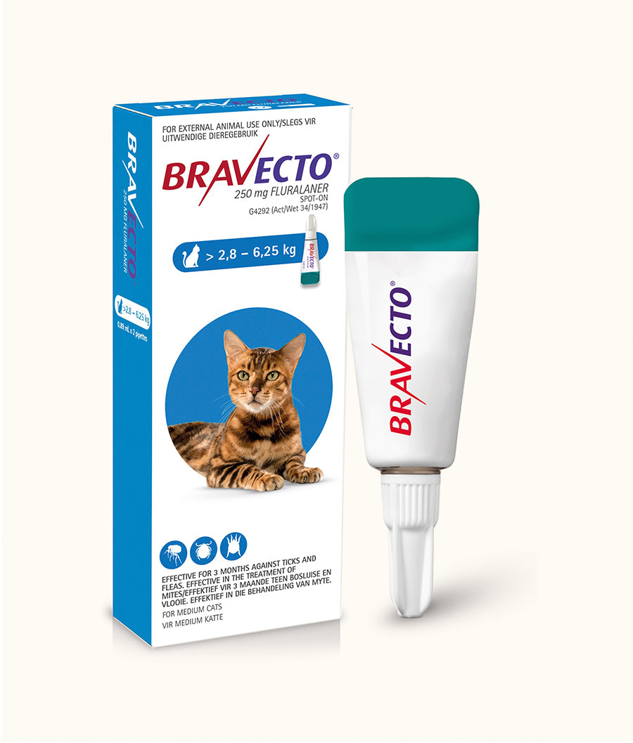 Bravecto® Spot-On for Medium Cats (>2.8kg-6.25kg) | Dashing Pets