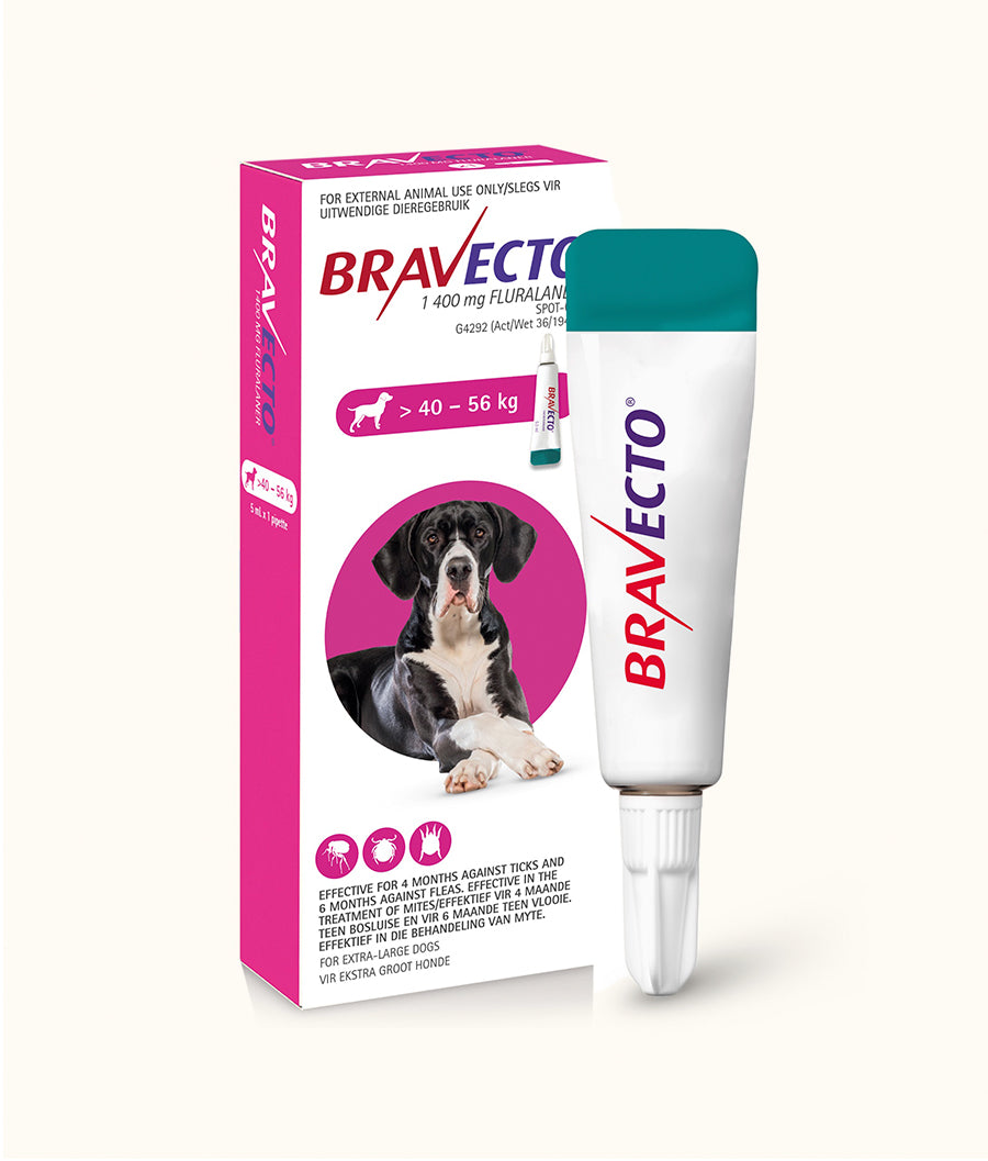 Bravecto® Spot-On for Extra Large Dogs (40kg-56kg) | Dashing Pets
