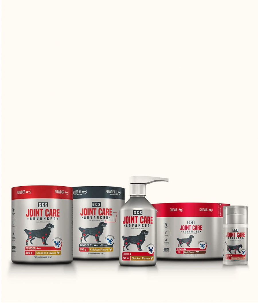 GCS Joint Care Advanced powder for dogs range | Dashing Pets