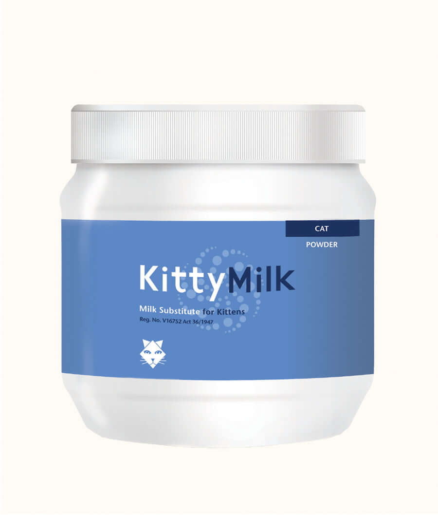 Kyron Kitty Milk | Dashing Pets