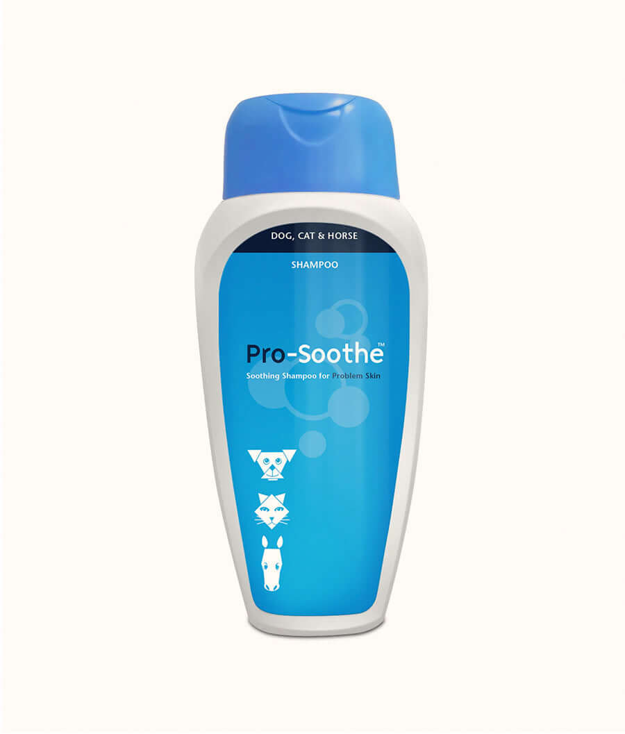 Kyron ProSooth Shampoo All Animals 250ml | Dashing Pets