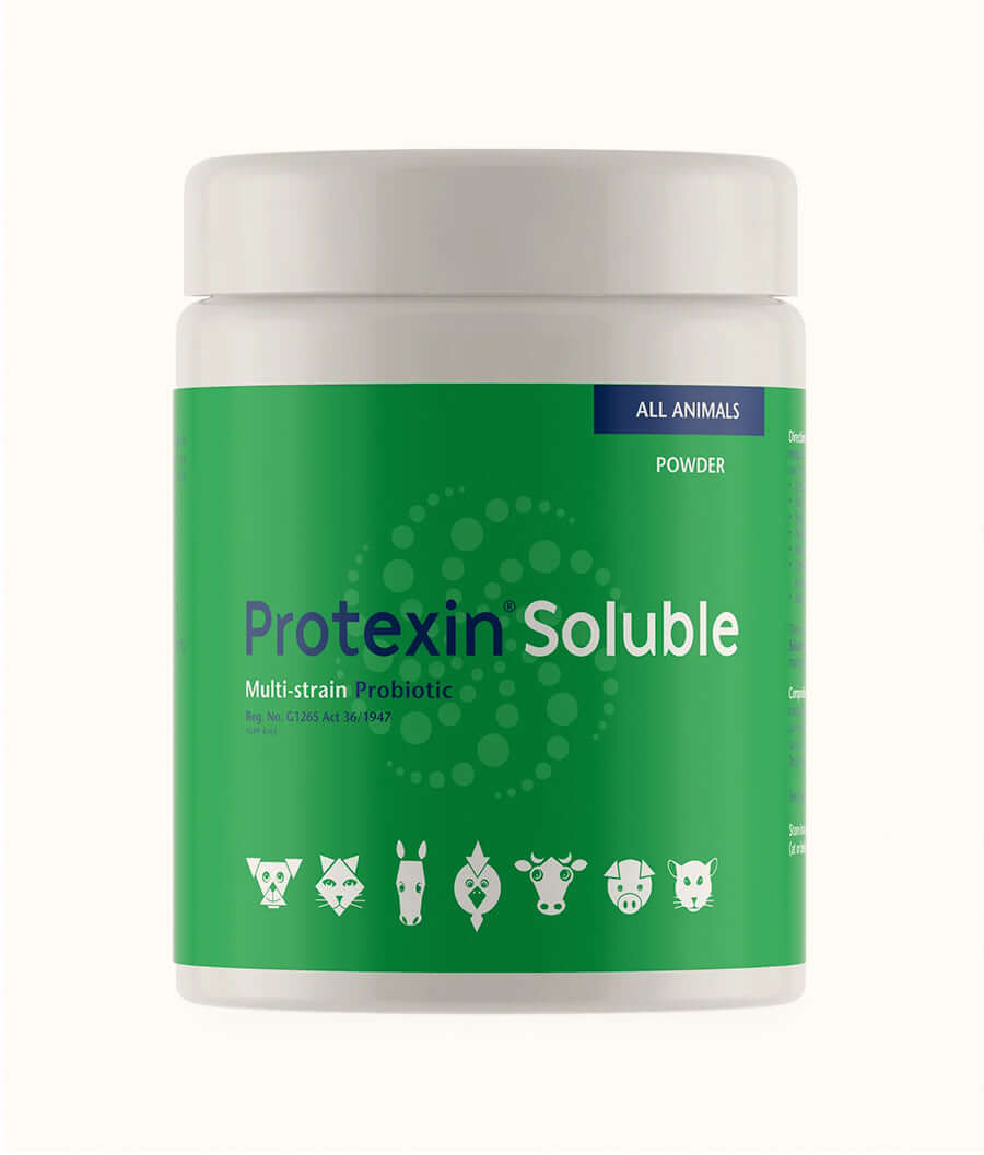 Kyron Protexin Soluble Prebiotic Powder 250g | Dashing Pets