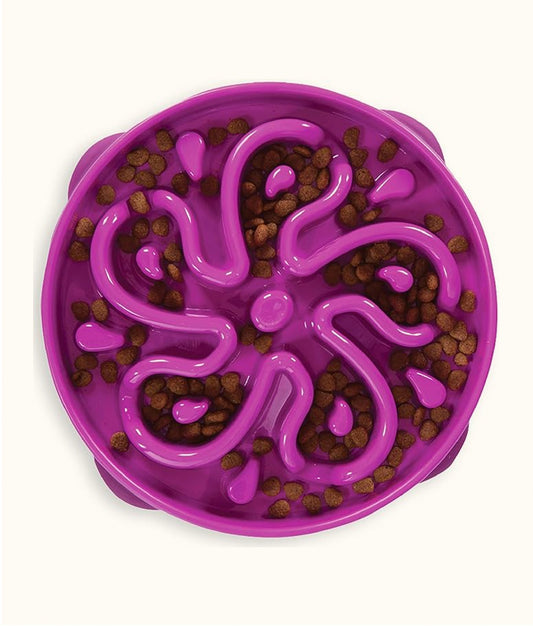 Outward Hound purple slow feeder Large | Dashing Pets