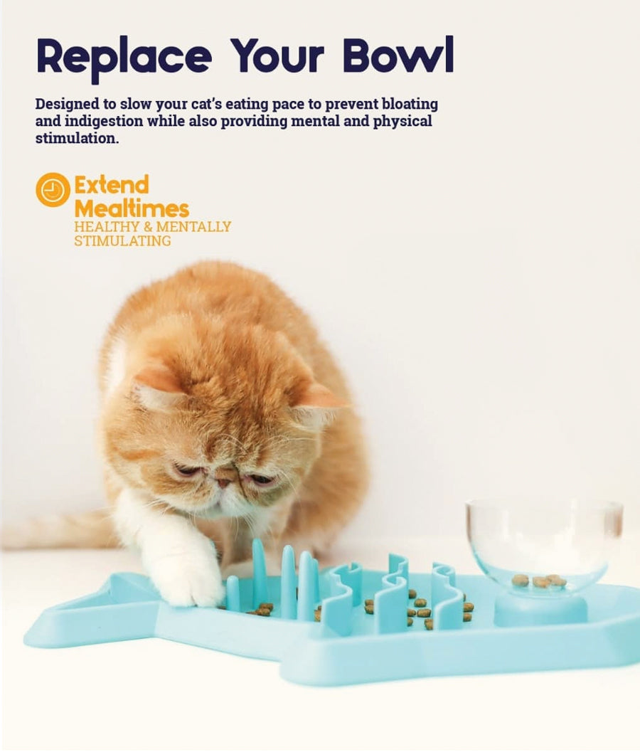 Outward Hound Hunt A Snack Fun Feed Mat Cat Slow Feeder | Dashing Pets