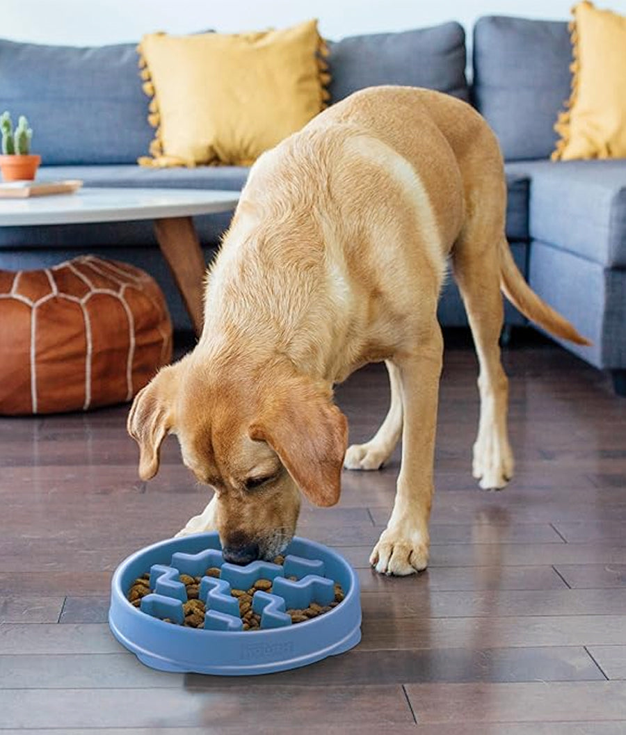 Outward Hound Slow Feeder Maze/Block Pattern | Dashing Pets