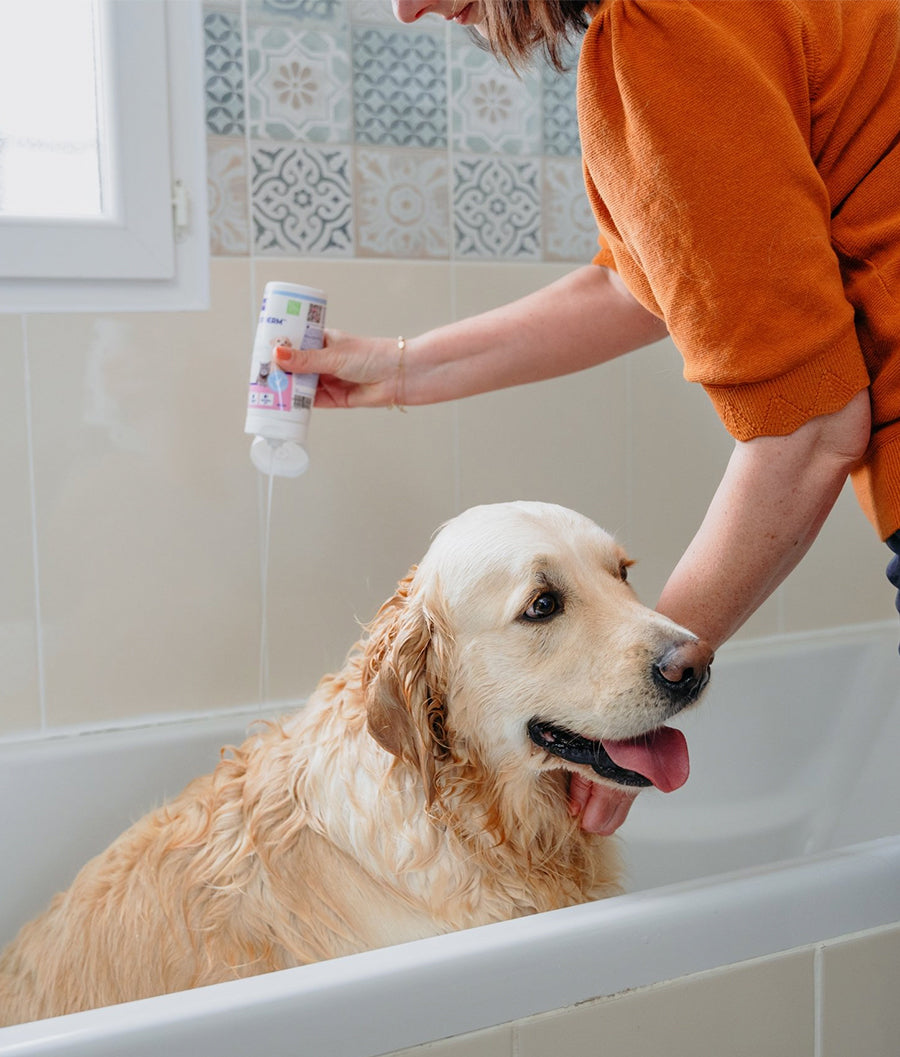 Virbac Allerderm Sensitive Shampoo 250ml| Dashing Pets