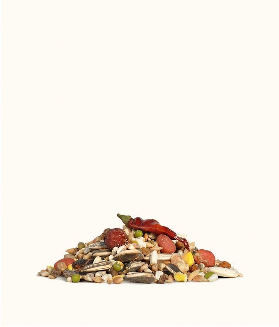 Rio Daily Feed for Parrots | Dashing Pets