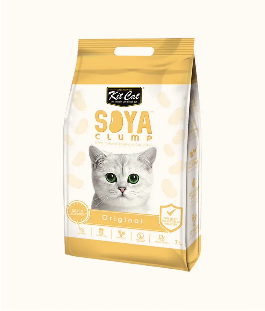 Kit Cat