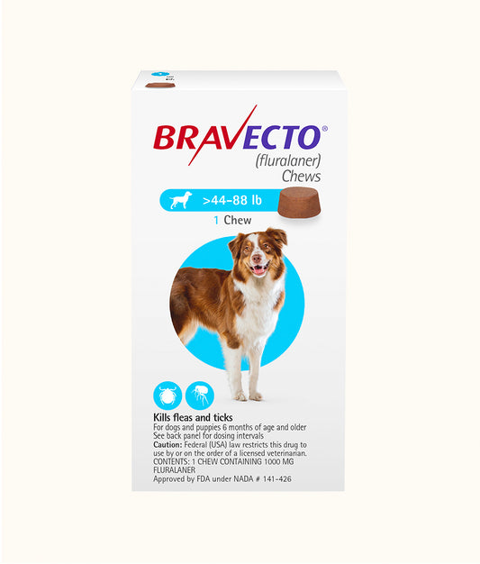 Bravecto® Chewable Tablets for Large Dogs (20kg-40kg) Front | Dashing Pets