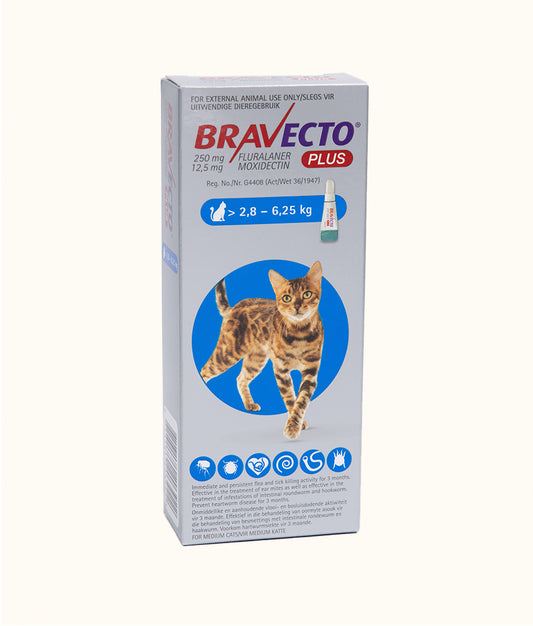 Bravecto® Plus for Medium Cats (>2.8kg - 6.25kg) | Dashing Pets