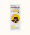 Bravecto® Spot-On for Toy Dogs (2kg-4.5kg) Font | Dashing Pets