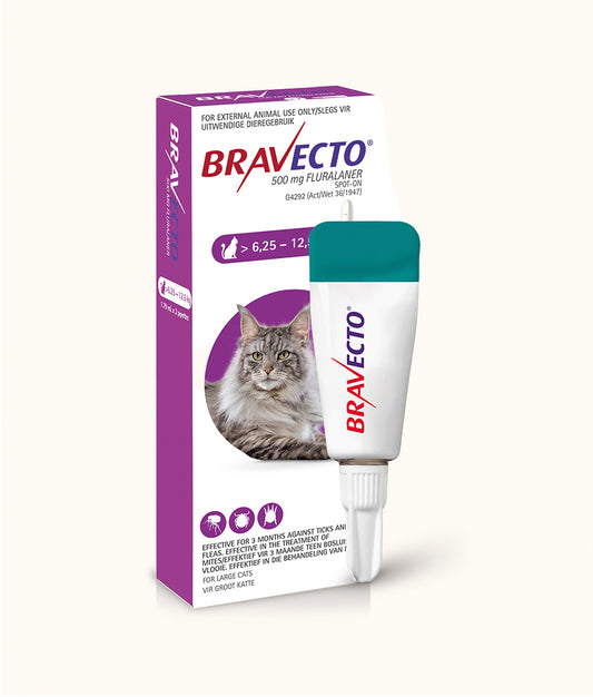 Bravecto® Spot-On for Large Cats (>6.25kg-12.5kg) | Dashing Pets