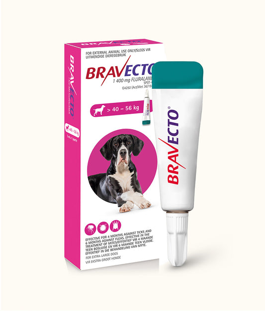 Bravecto® Spot-On for Extra Large Dogs (40kg-56kg) | Dashing Pets