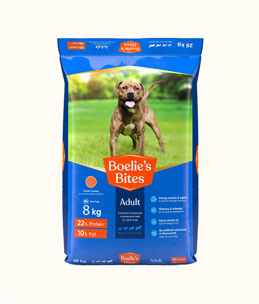 Boelie's Bites Large Breed Adult 8kg | Dashing Pets
