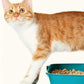 Daro 100% Natural Clumping Cat Litter Apple | Dashing Pets