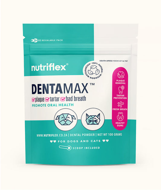 Nutriflex DentaMax Oral Hygiene Dental Powder For Dogs & Cats  | Dashing Pets