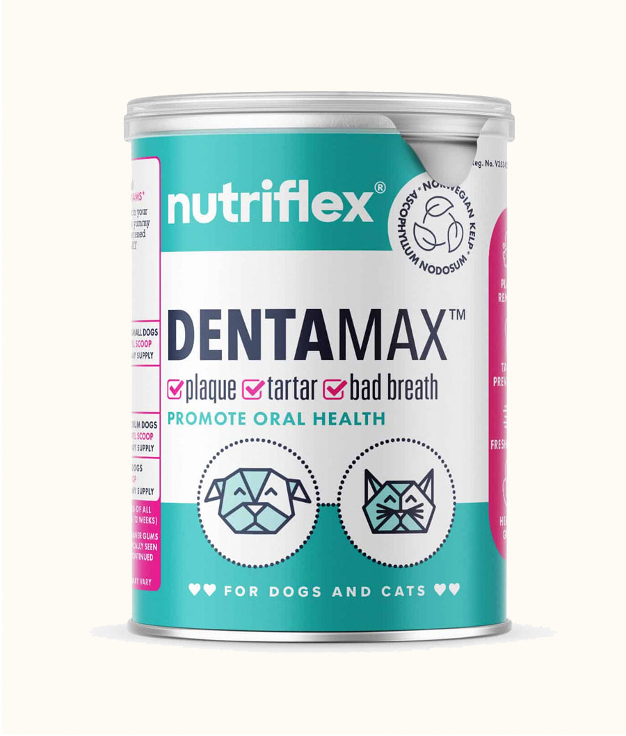 Nutriflex DentaMax Oral Hygiene Dental Powder For Dogs & Cats  | Dashing Pets