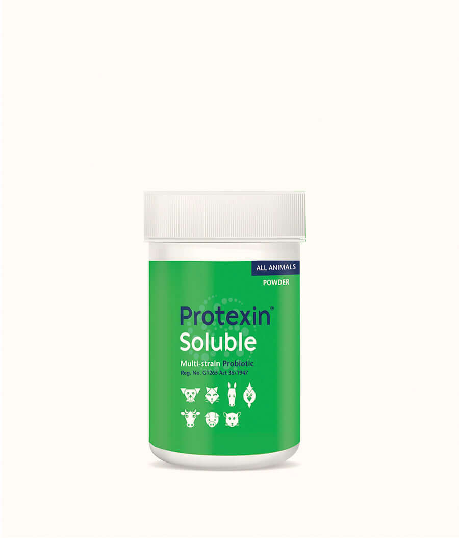 Kyron Protexin Soluble Prebiotic Powder 60g | Dashing Pets