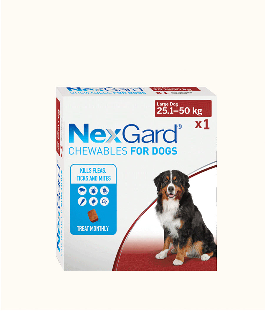 NexGard Chewable Tablets for Large Dogs (25.1kg-50kg) 1 Tablet Front | Dashing Pets