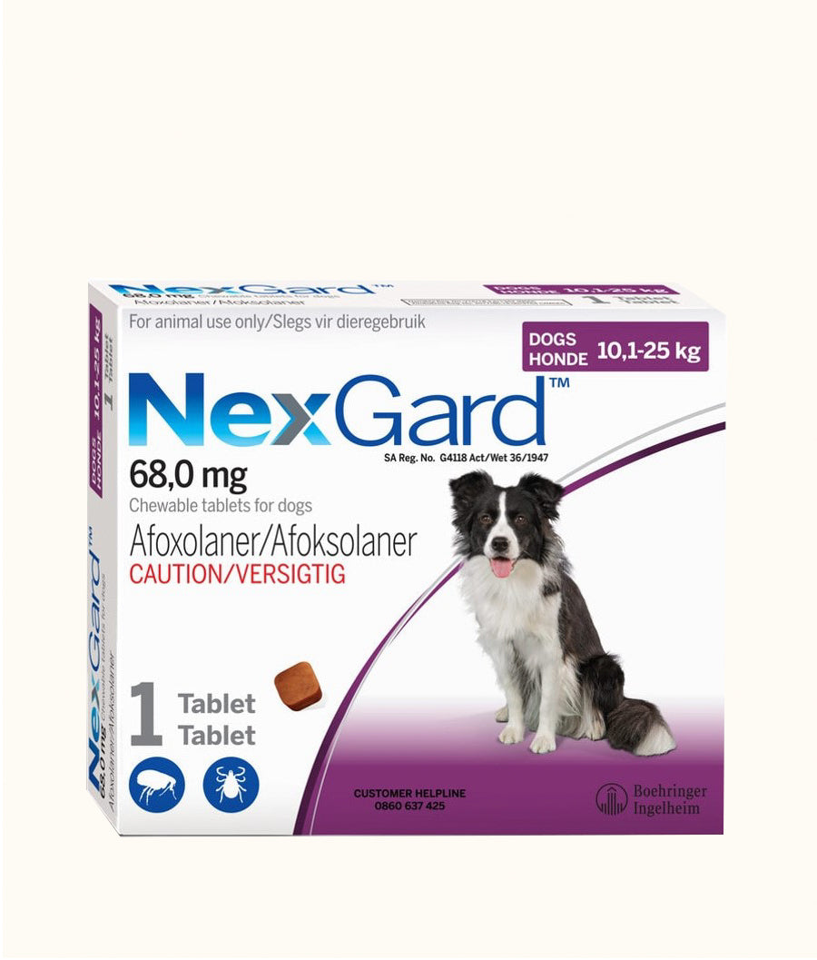 NexGard Chewable Tablets for Large Dogs (10kg-25kg) | Dashing Pets