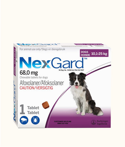 NexGard Chewable Tablets for Large Dogs (10kg-25kg) | Dashing Pets