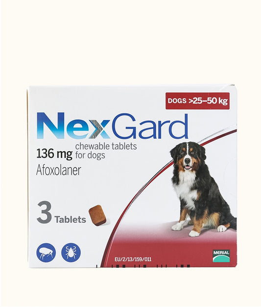 NexGard Chewable Tablets for Large Dogs (25.1kg-50kg) 3 Tablets Front | Dashing Pets