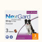 NexGard Chewable Tablets for Large Dogs (10kg-25kg) | Dashing Pets
