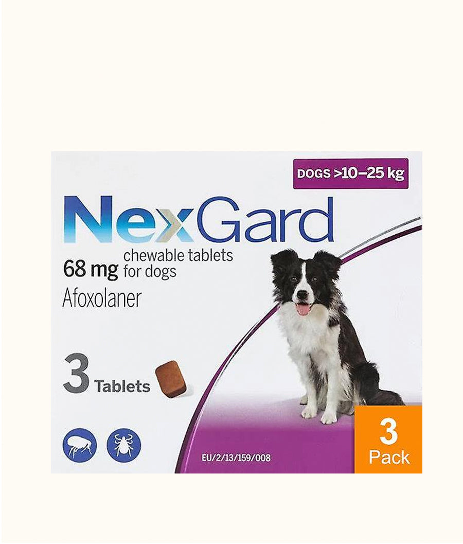 NexGard Chewable Tablets for Large Dogs (10kg-25kg) | Dashing Pets