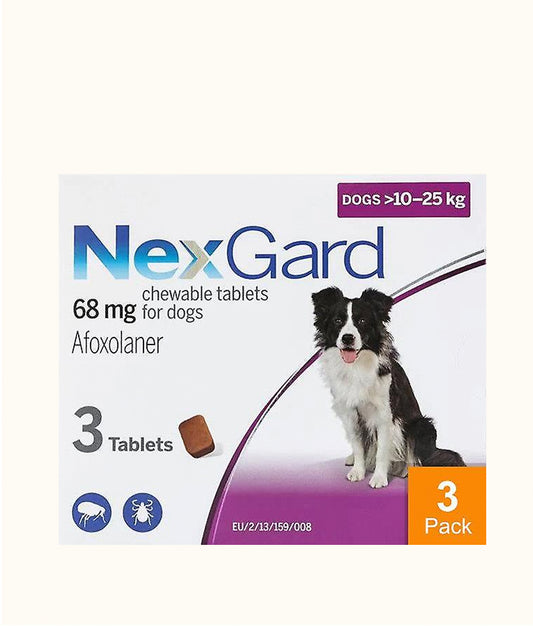 NexGard Chewable Tablets for Large Dogs (10kg-25kg) | Dashing Pets