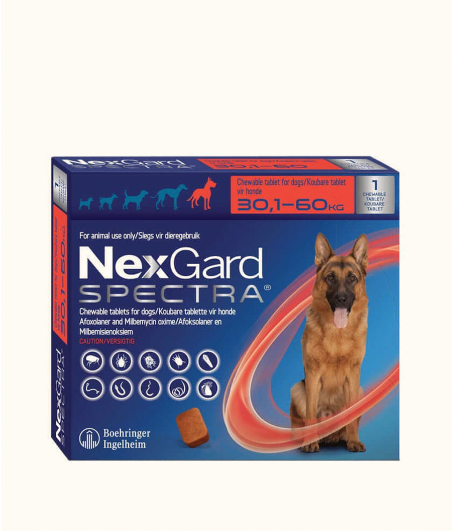 NexGard Spectra Chewable Tablets for Large Dogs (15.1kg-30kg) | Dashing Pets
