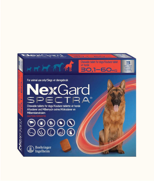 NexGard Spectra Chewable Tablets for Large Dogs (15.1kg-30kg) | Dashing Pets