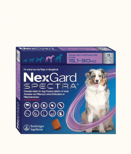 NexGard Spectra Chewable Tablets for Large Dogs (15.1kg-30kg) 3 Tablets | Dashing Pets

