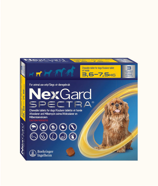 NexGard Spectra Chewable Tablets for Small Dogs (3.6kg-7.5kg)  | Dashing Pets