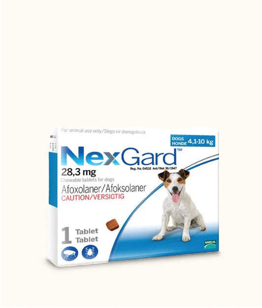NexGard Chewable Tablets for Small Dogs (4.5kg-10kg) 1 Tablet | Dashing Pets