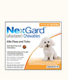 NexGard Chewable Tablets for Extra Small Dogs (2-4.5kg) 1 tablet Front | Dashing Pets