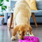 Outward Hound purple slow feeder | Dashing Pets