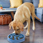 Outward Hound Slow Feeder Maze/Block Pattern | Dashing Pets