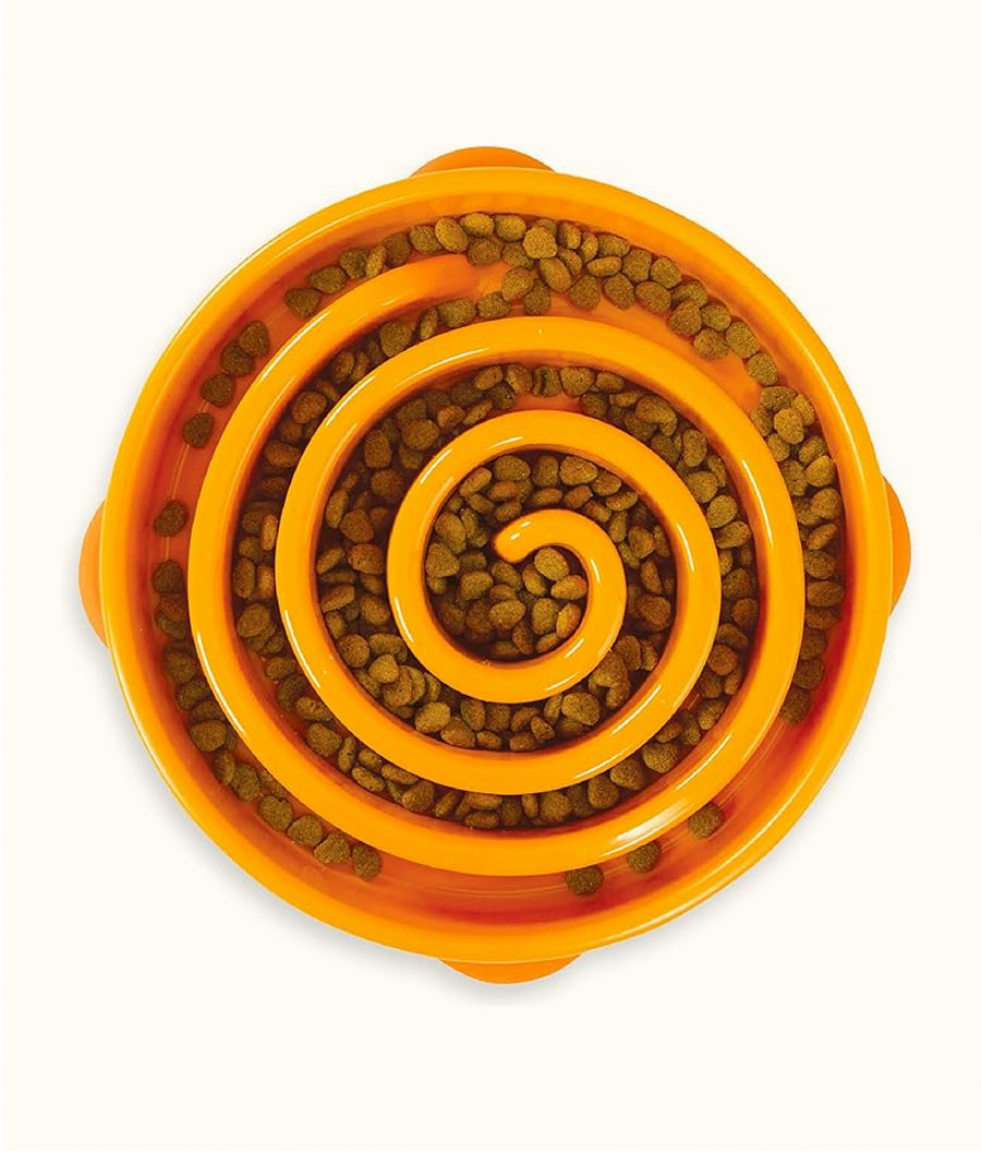 Outward Hound Slow Feeder Spiral/Swirl Large | Dashing Pets
