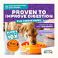 Outward Hound Slow Feeder Spiral/Swirl | Dashing Pets
