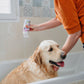 Virbac Allerderm Sensitive Shampoo 250ml| Dashing Pets